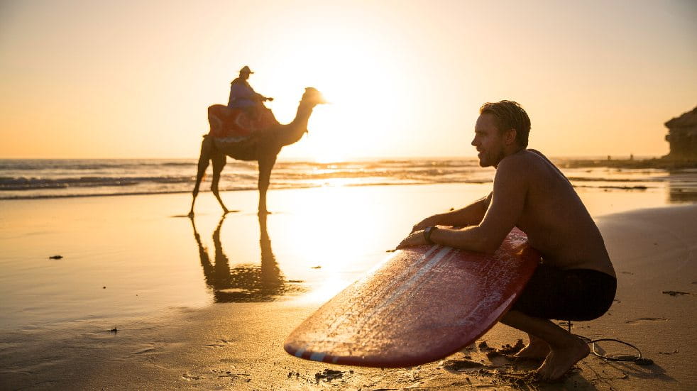 surfer on beach in front of camel